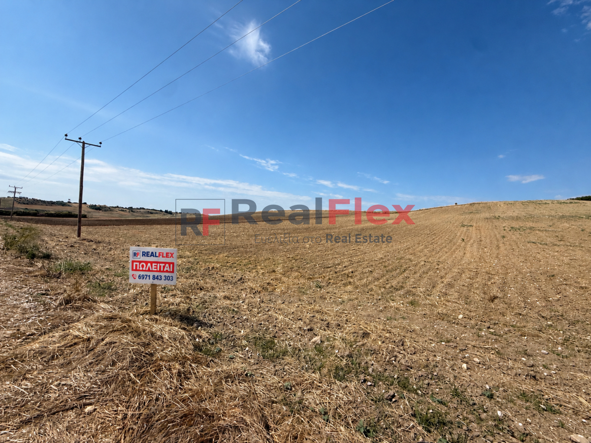 property-img